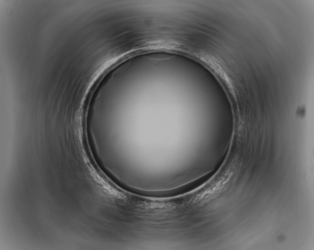 X0000100940941200807011242