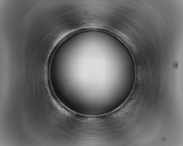 X0000100940942200807011242