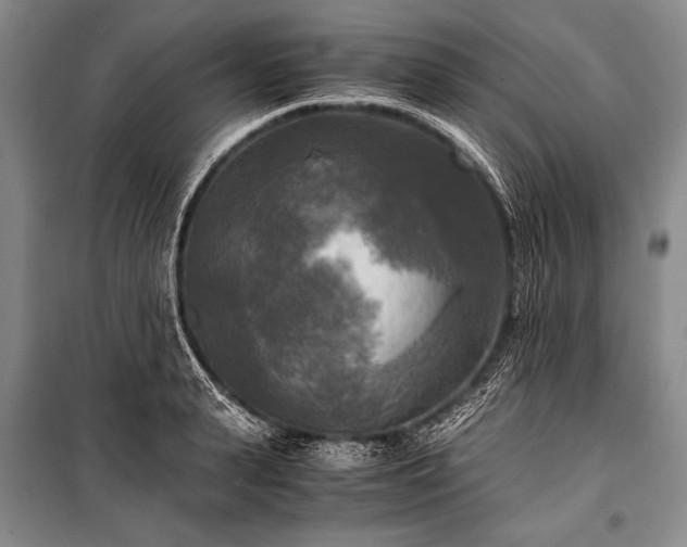 X0000100940943200807011242