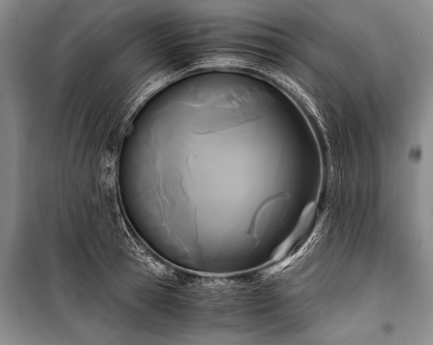 X0000100940945200807011242