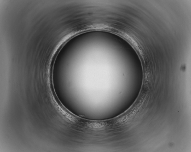 X0000100940947200807011242