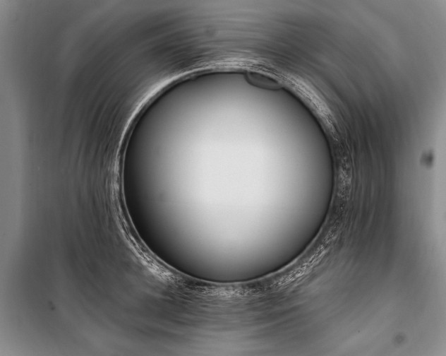 X0000100940948200807011242