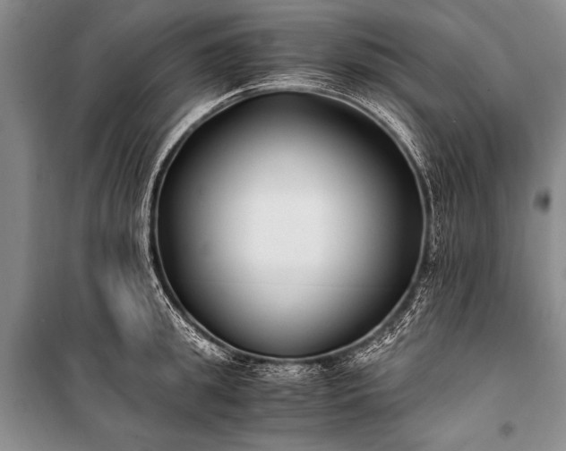 X0000100940949200807011242