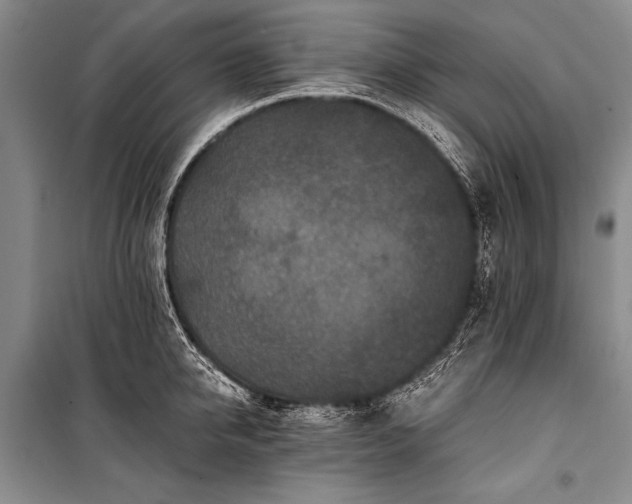 X0000100940950200807011242