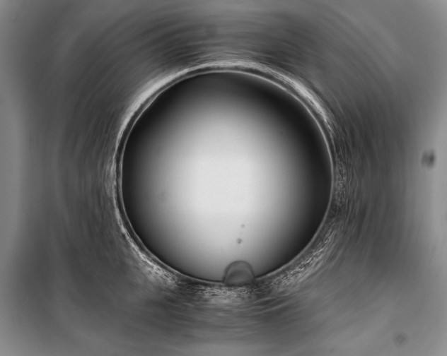 X0000100940951200807011242