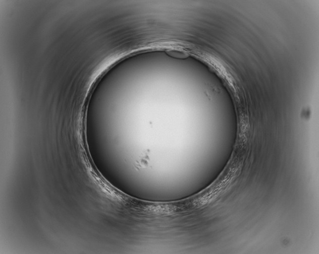 X0000100940952200807011242