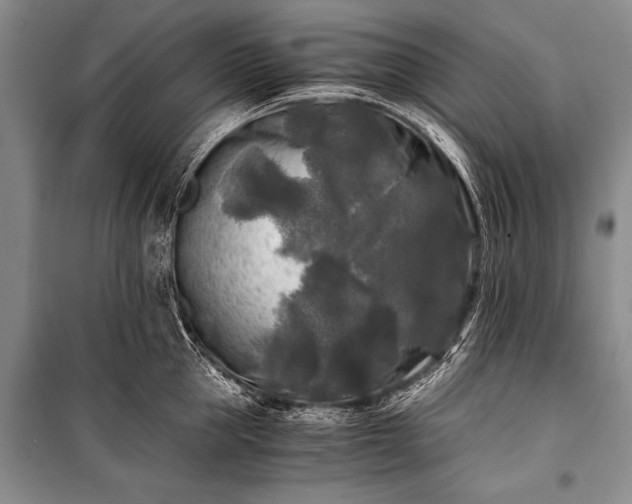 X0000100940953200807011242