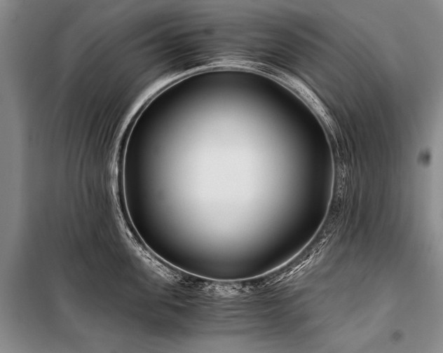 X0000100940955200807011242