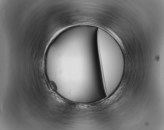 X0000100940956200807011242