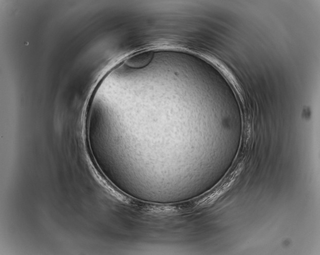 X0000100940957200807011242