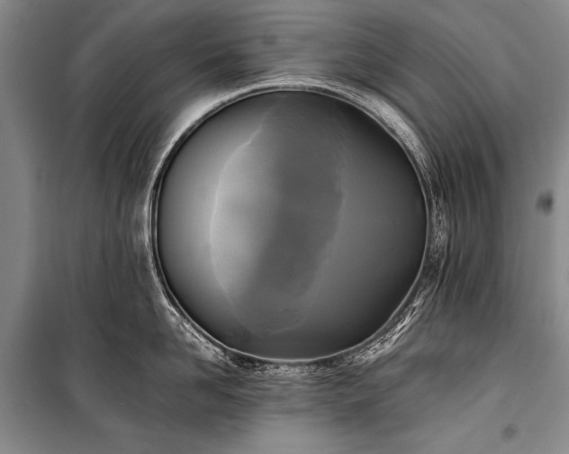 X0000100940958200807011242