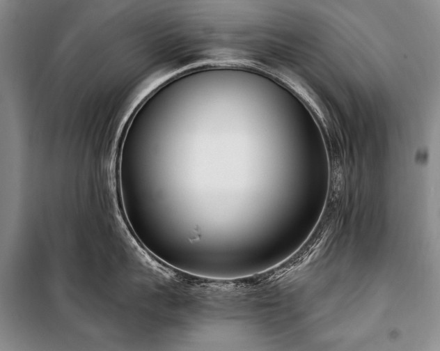 X0000100940959200807011242