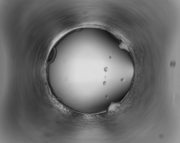 X0000100940960200807011242