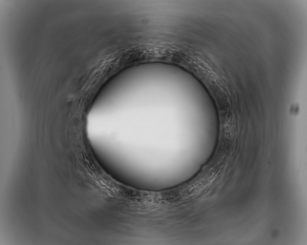 X0000100940961200807011241