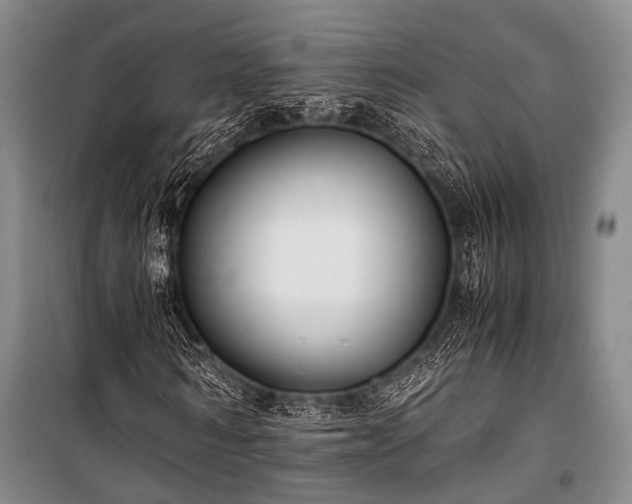 X0000100940962200807011241