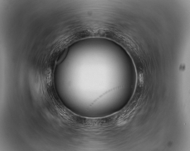 X0000100940963200807011241