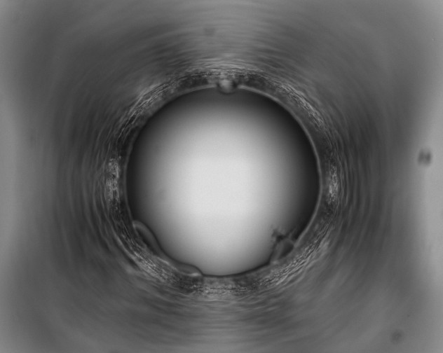 X0000100940964200807011241