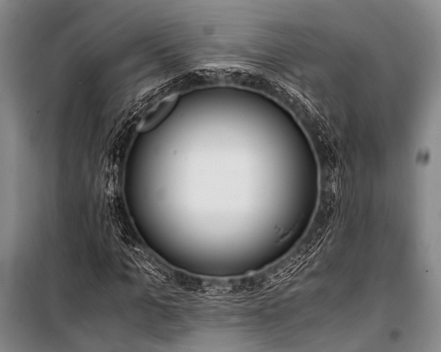 X0000100940965200807011241