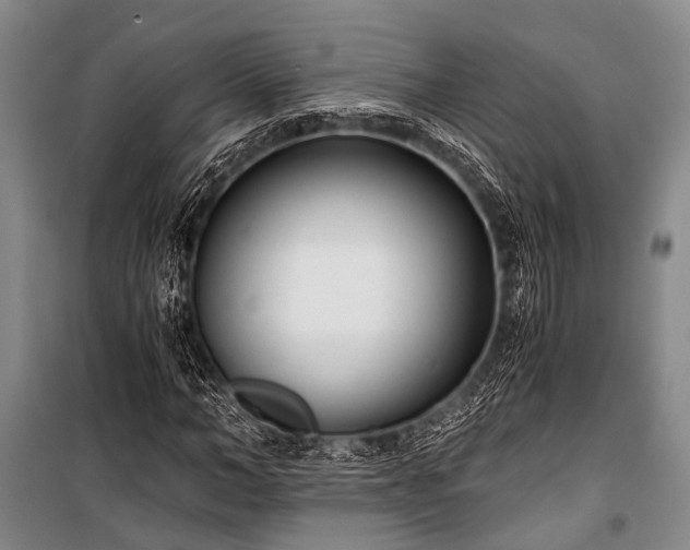 X0000100940966200807011241