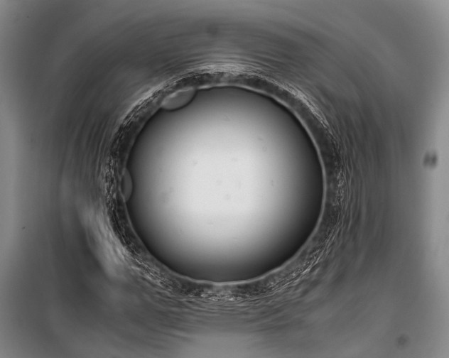 X0000100940967200807011241