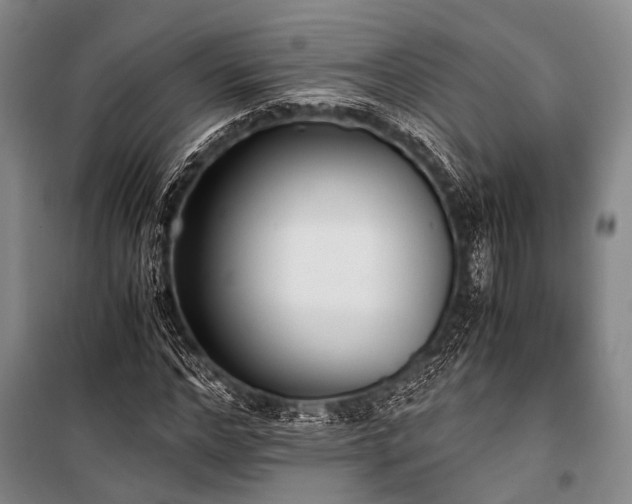 X0000100940968200807011241