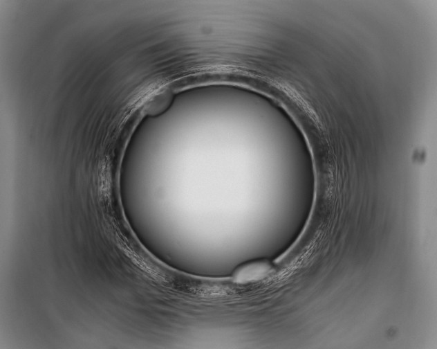 X0000100940969200807011241