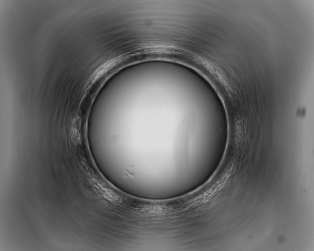 X0000100940970200807011241