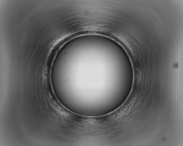 X0000100940971200807011241