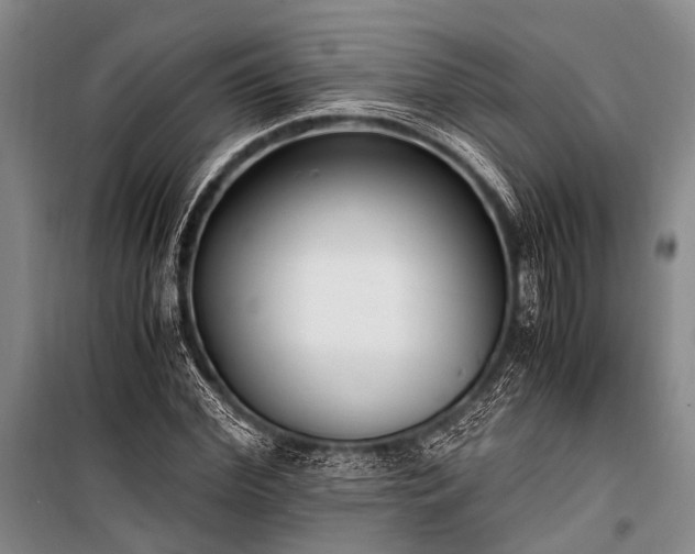 X0000100940972200807011241