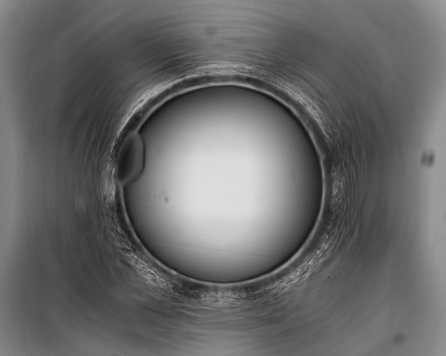 X0000100940973200807011241