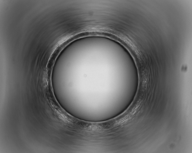 X0000100940974200807011241