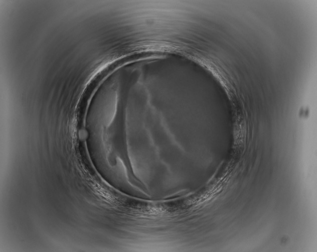 X0000100940975200807011241