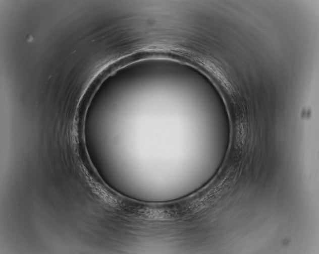 X0000100940976200807011241