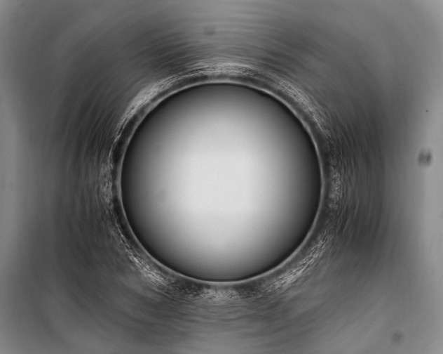 X0000100940978200807011241