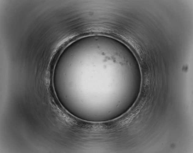 X0000100940979200807011241