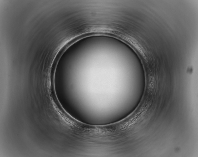 X0000100940980200807011241