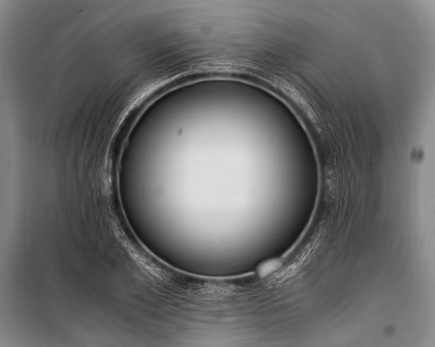 X0000100940981200807011241