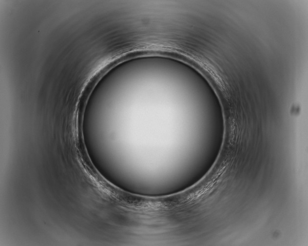 X0000100940982200807011241