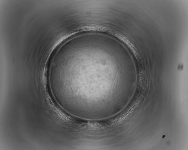 X0000100940983200807011241