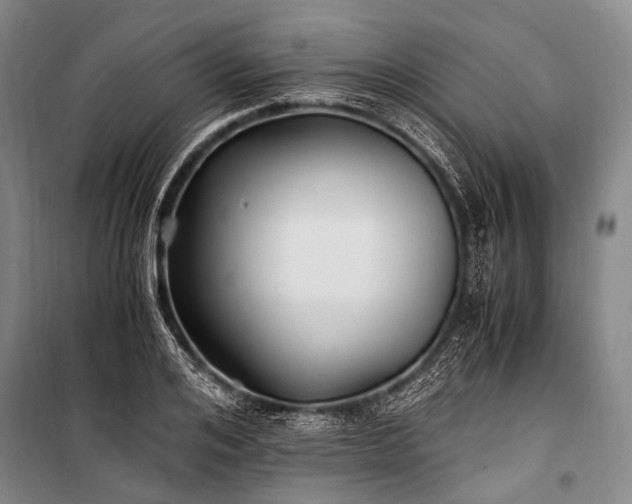 X0000100940984200807011241