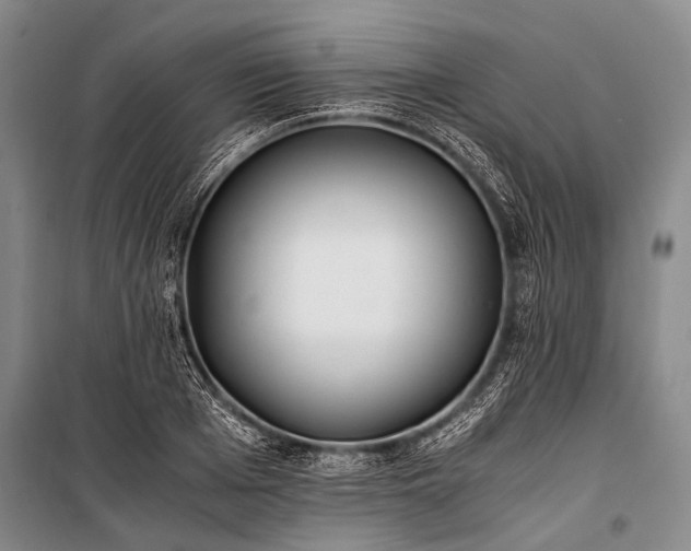 X0000100940985200807011241