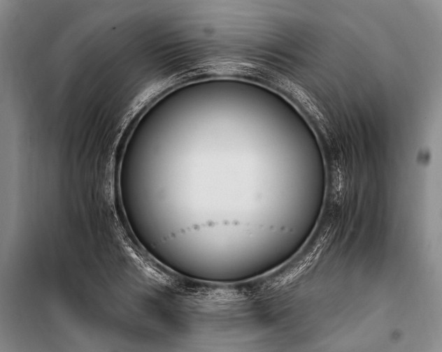 X0000100940986200807011241