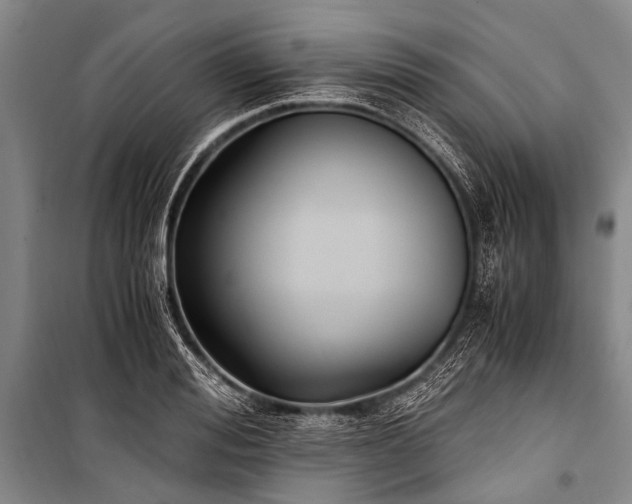 X0000100940988200807011241