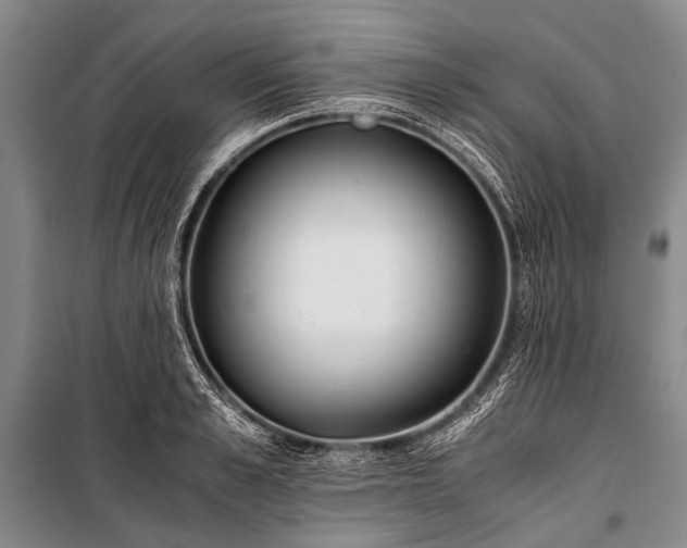 X0000100940989200807011241