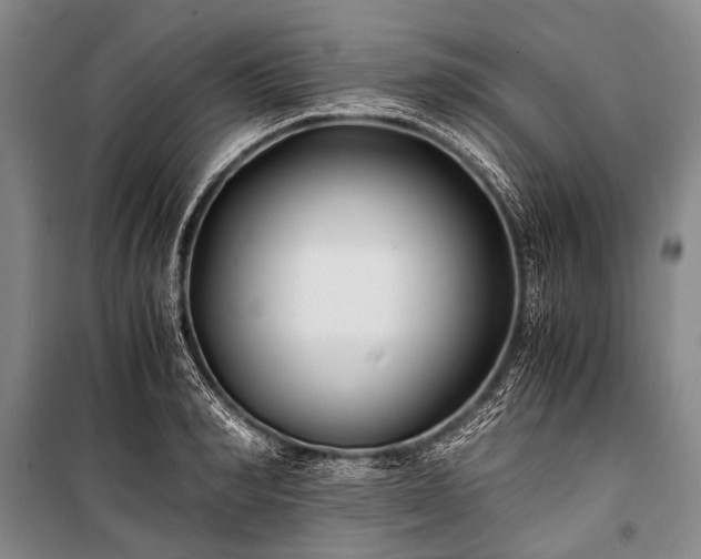 X0000100940990200807011241