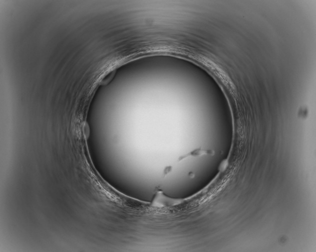 X0000100940993200807011241