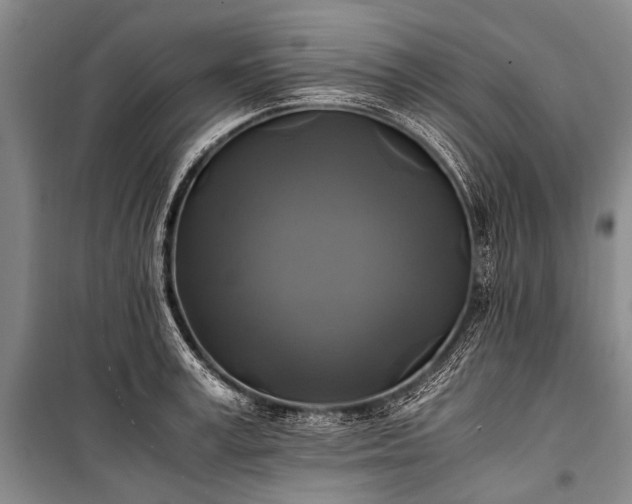 X0000100940995200807011241