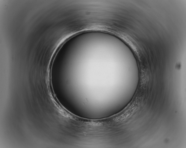 X0000100940996200807011241