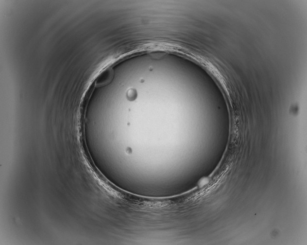 X0000100940997200807011241