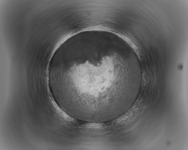 X0000100940998200807011241